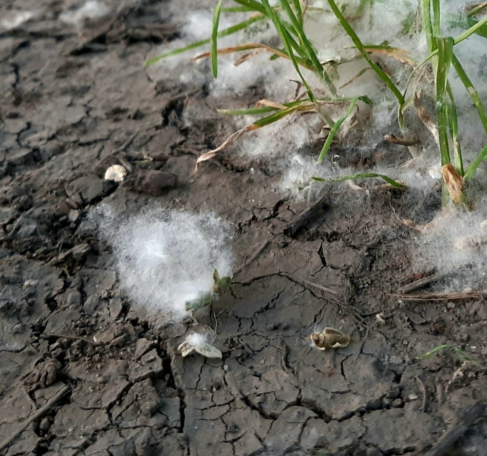 Photograph by Николай Филоненко