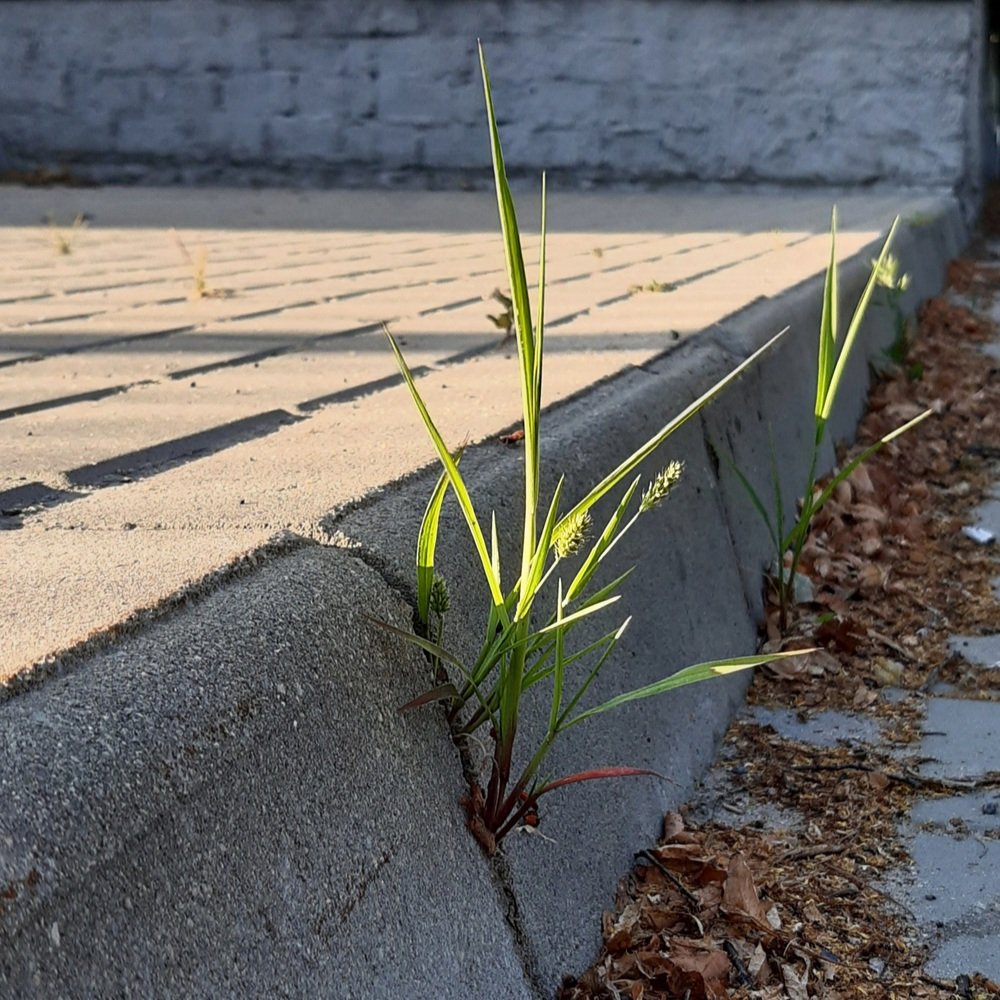 Photograph by Николай Филоненко