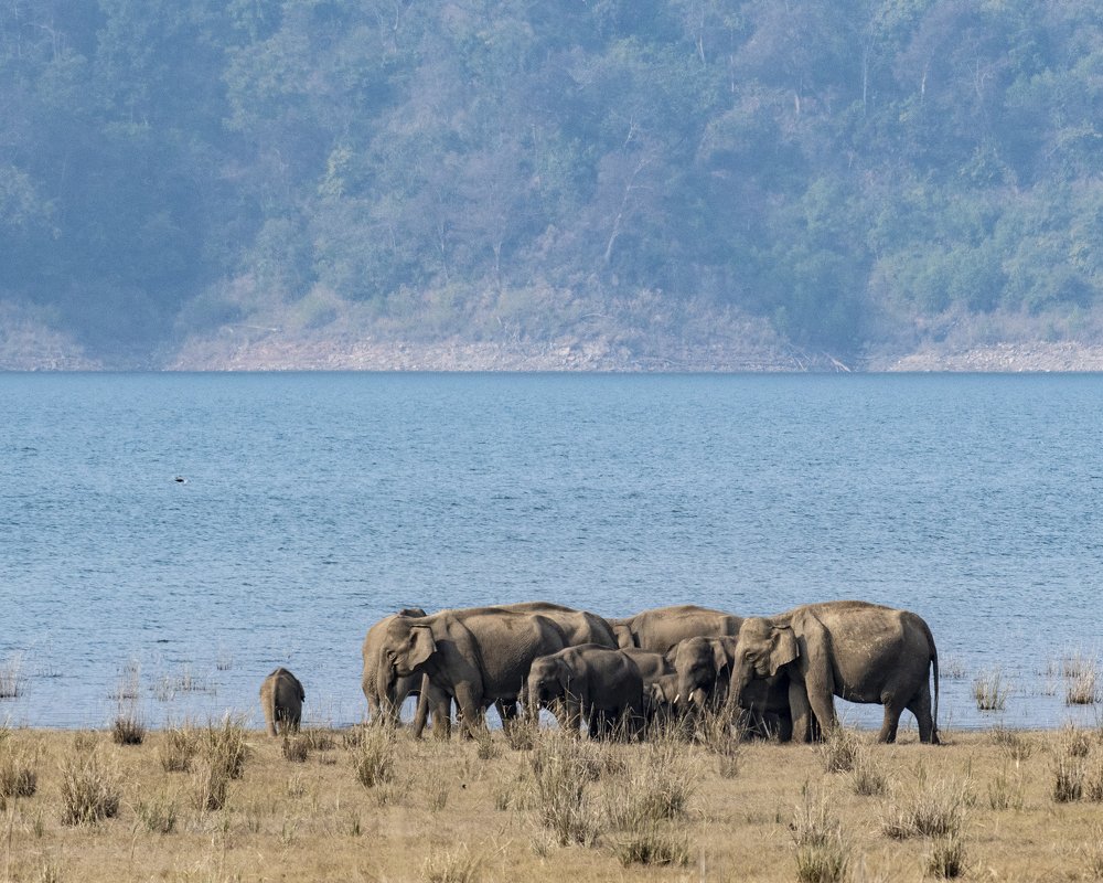 Photograph by Preet saluja