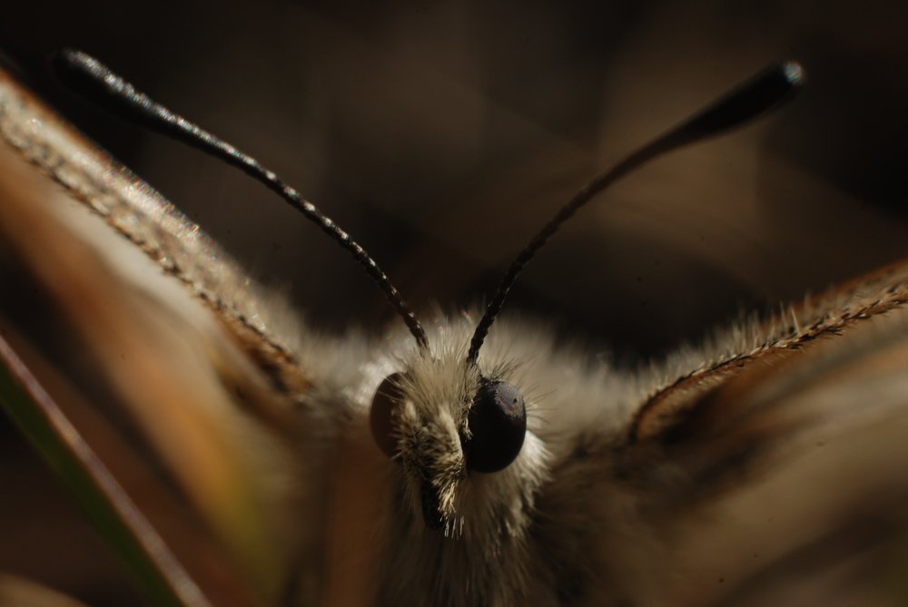 Photograph by Михаил Васильченко