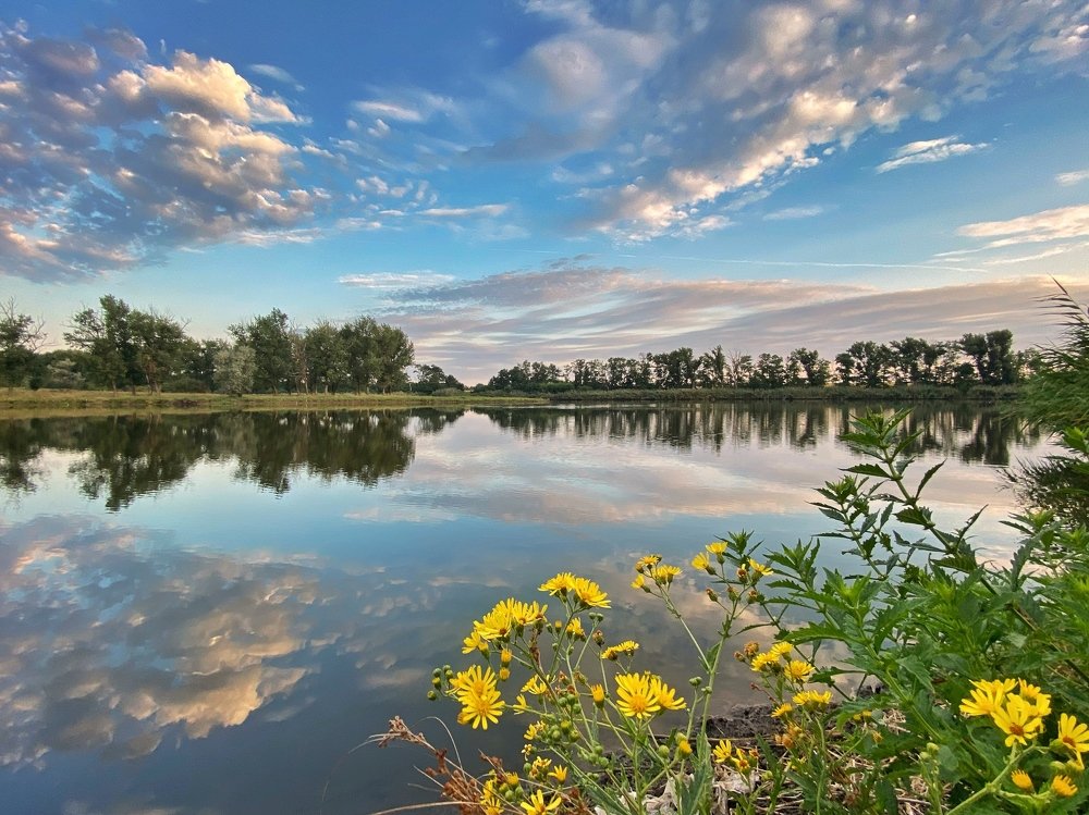 Утро на озере