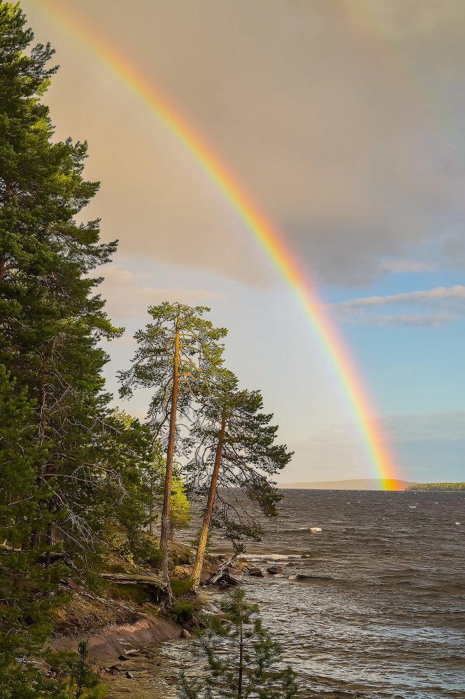 Фотография автора Юрий Цыркунов
