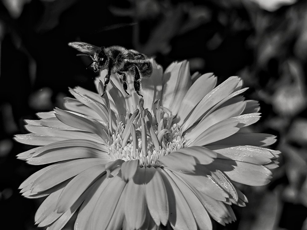 Photograph by Денис Пономарёв