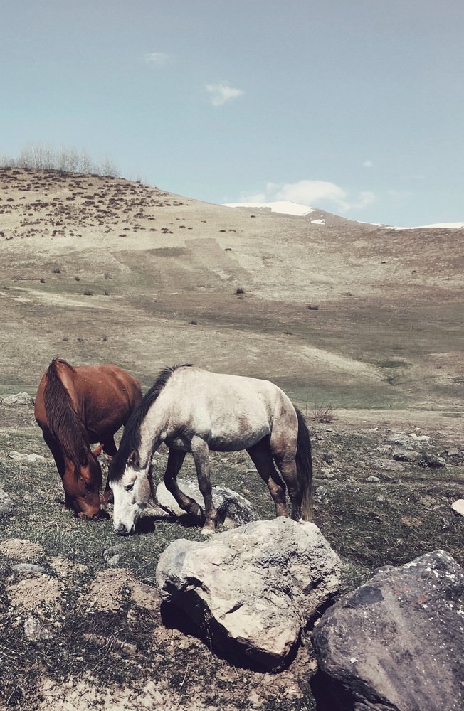 Photograph by Елена Гарибян