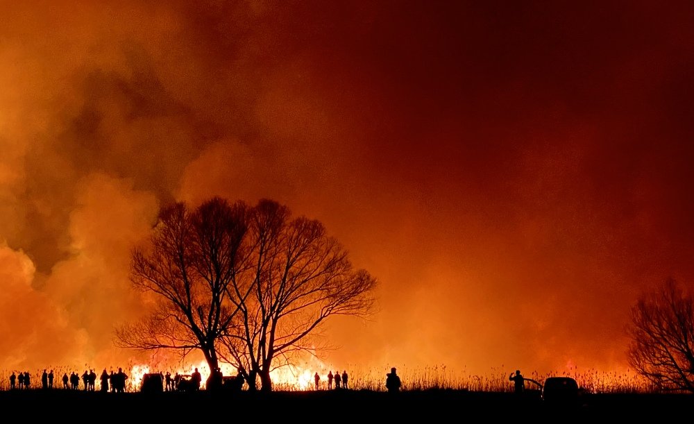 Photograph by Елена Гарибян