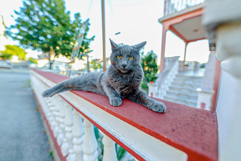 Photograph by Ivan Petricevic