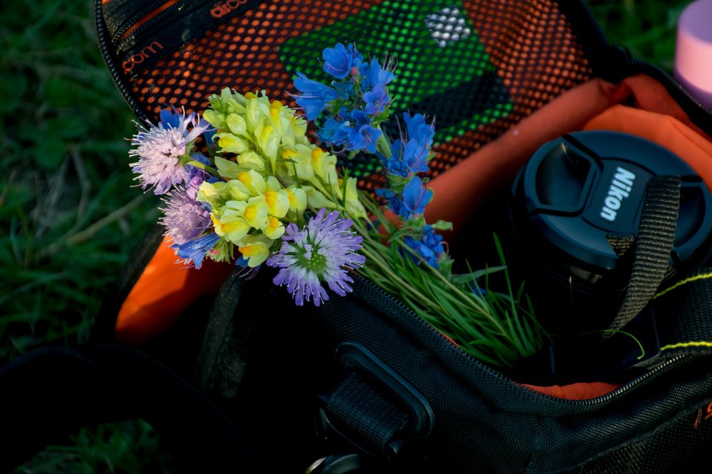 Photograph by Александра Лукашевич