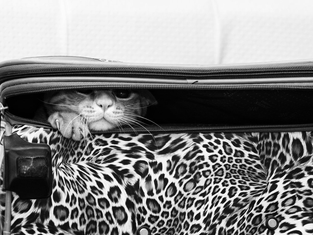 Photograph by Nargiza Karimova