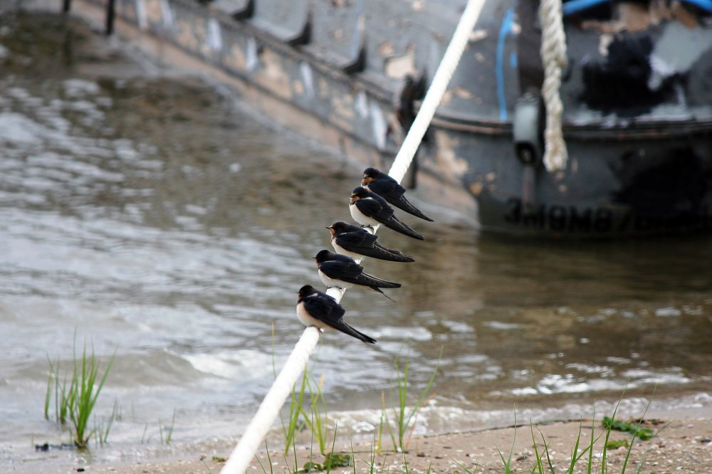 Photograph by Александр Бугаенко