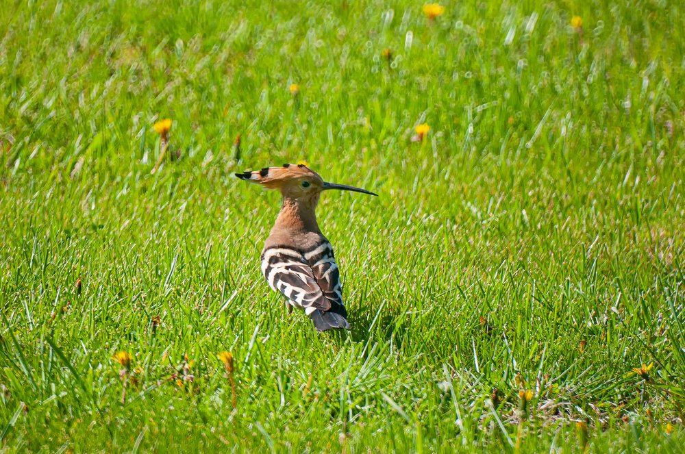 Photograph by Роман Приходько