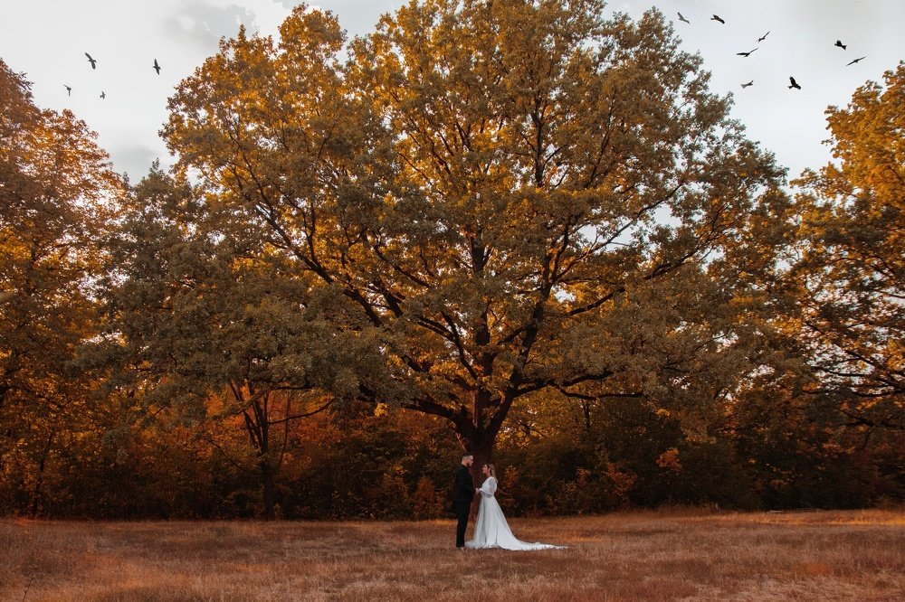 Photograph by Никита Чернов