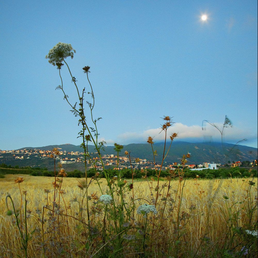 Photograph by Mohanad Aljammasi