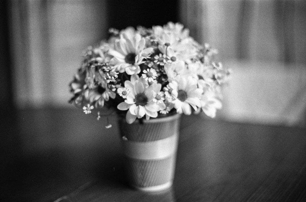 Черно белая красота.