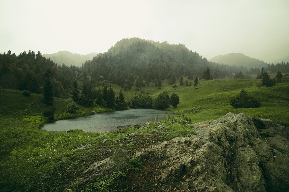 Photograph by paata gogua