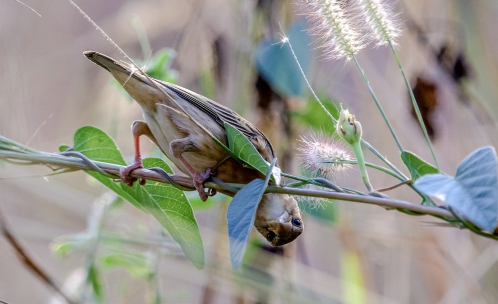 Photograph by Donald Rumsey