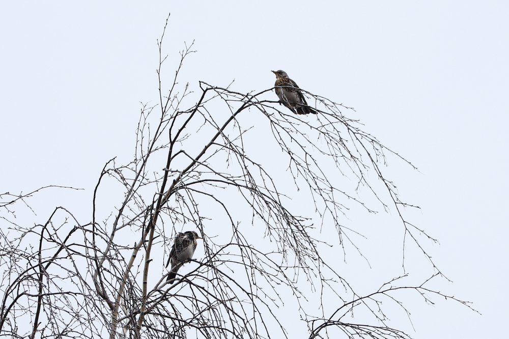 Photograph by Артемий Булатов