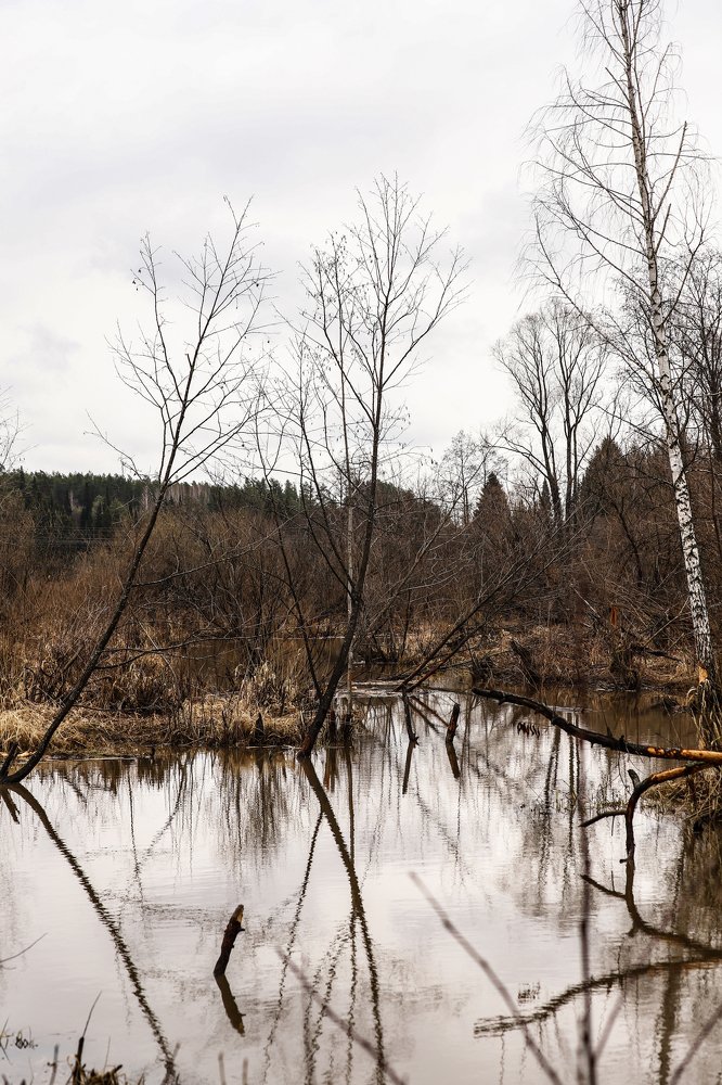 Photograph by Артемий Булатов