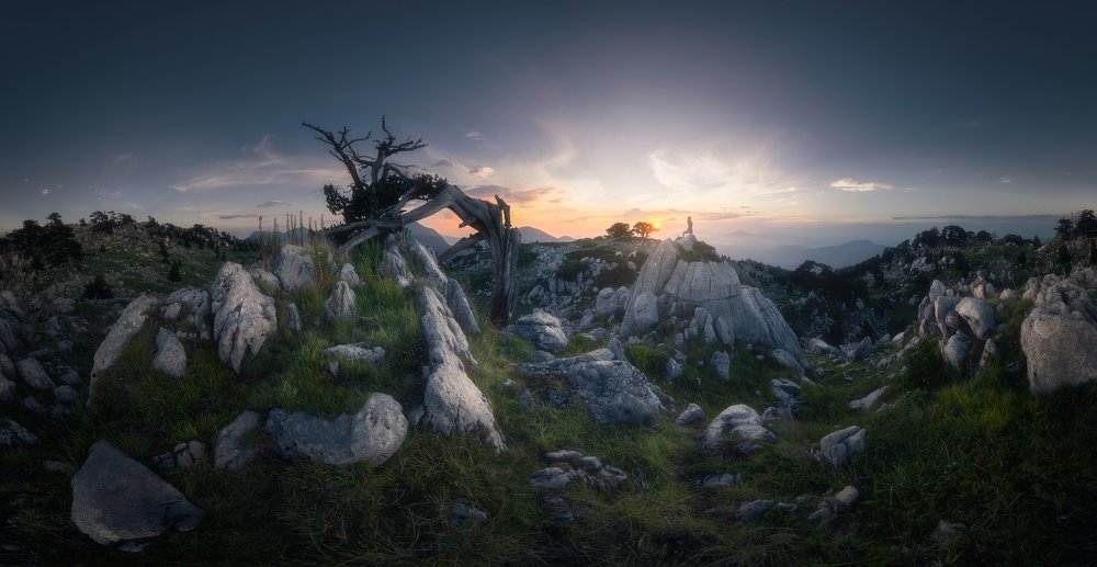 Фотография автора Niccolò Vianello