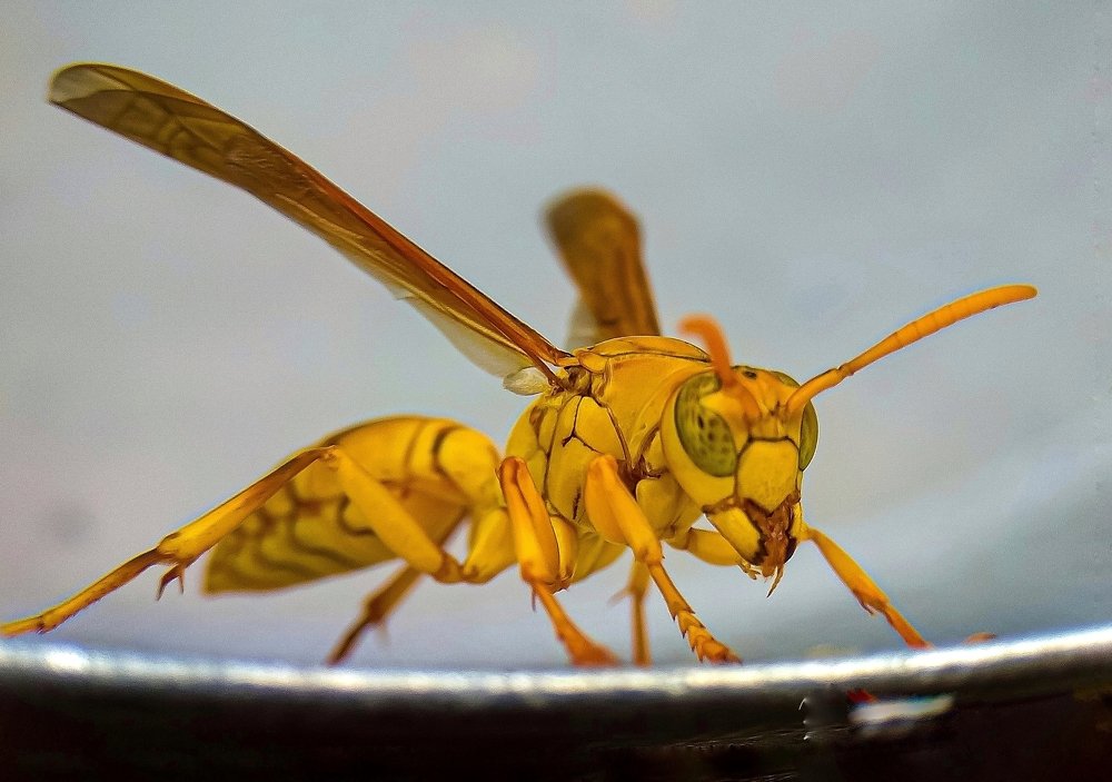 Photograph by Susmita Ghosh