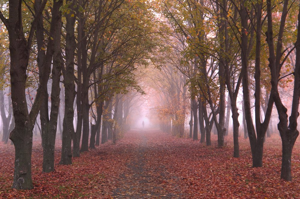 Photograph by Валерий Черняк