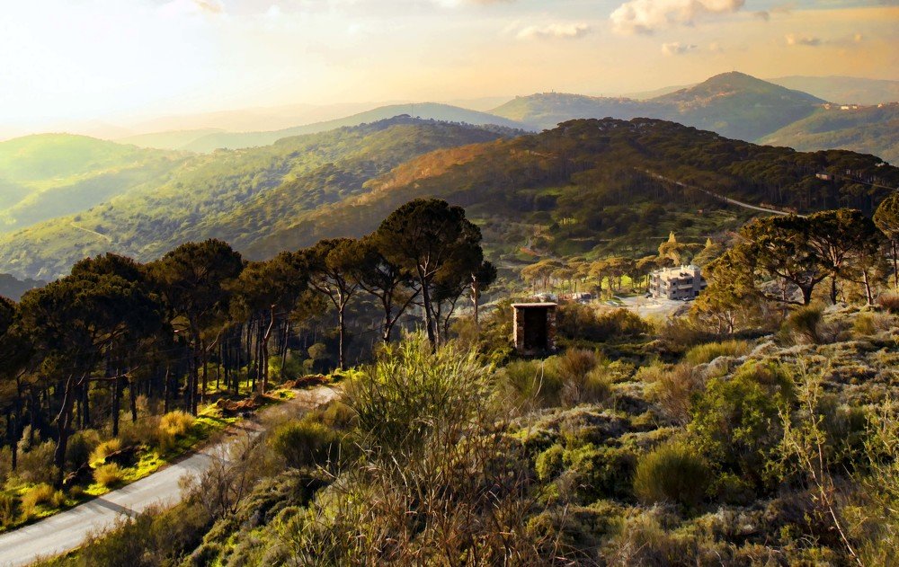 Photograph by Mohanad Aljammasi