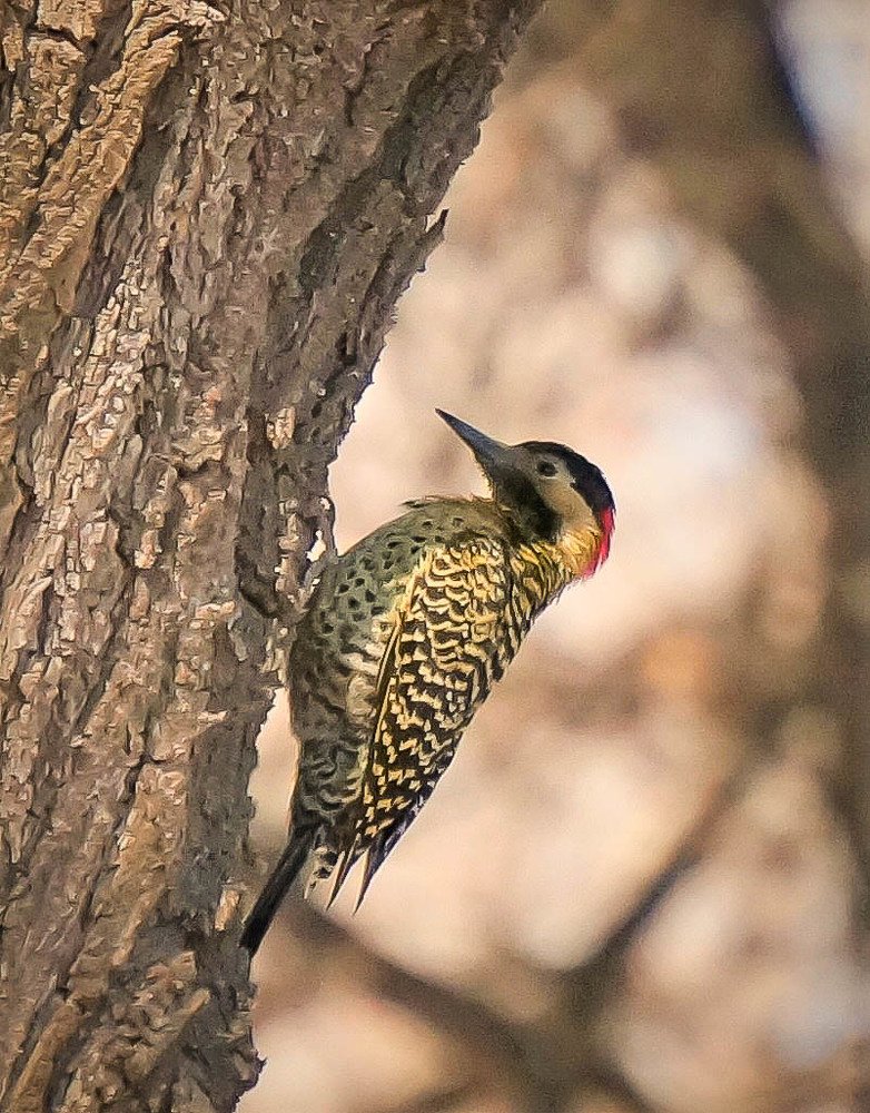 Photograph by Karina Elena Bergagna