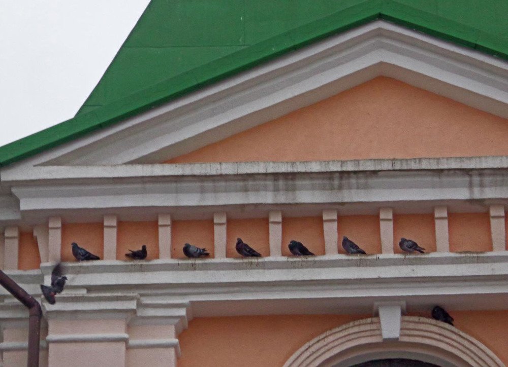 Фотография автора Lizuza