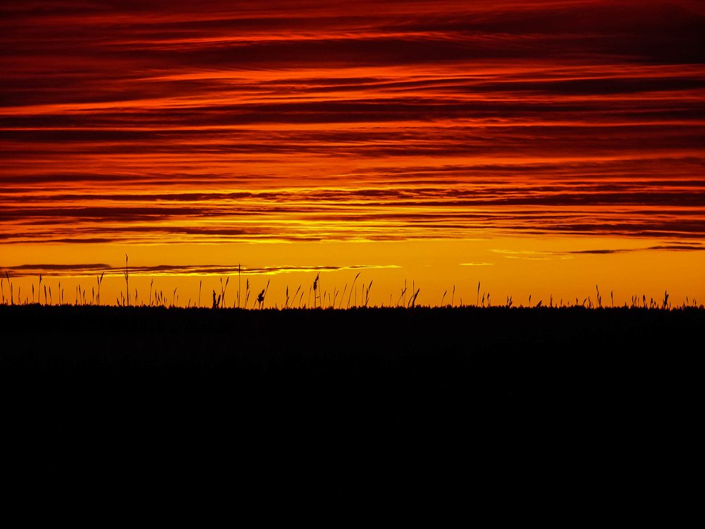 Photograph by Александр Трифанов