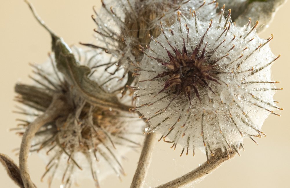 Photograph by Оксана Паляница