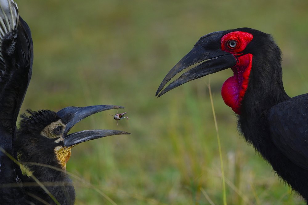 Photograph by Varun Thakkar
