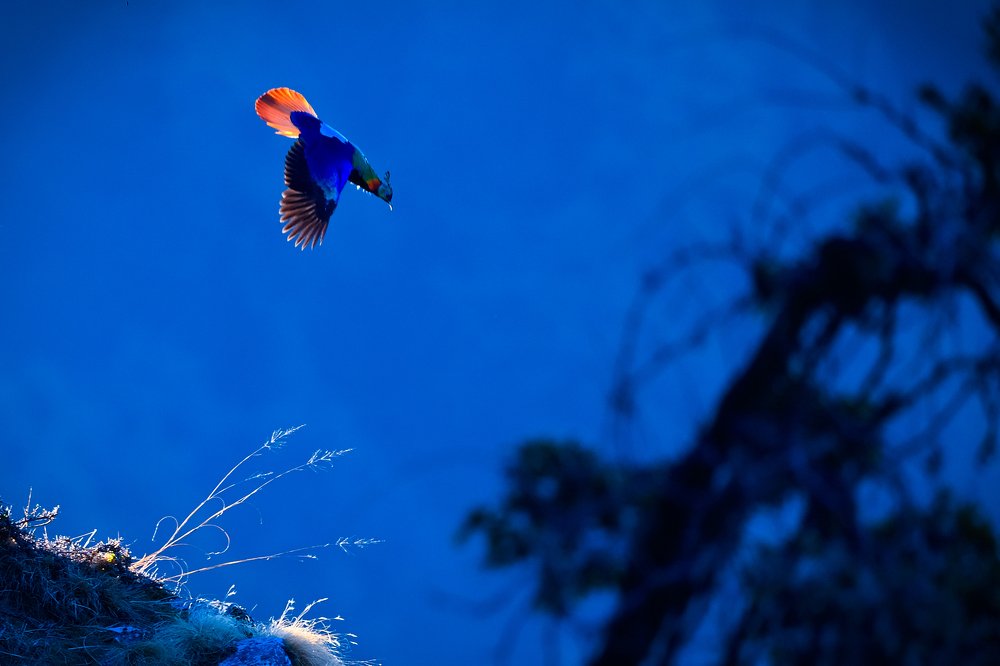 Photograph by Varun Thakkar