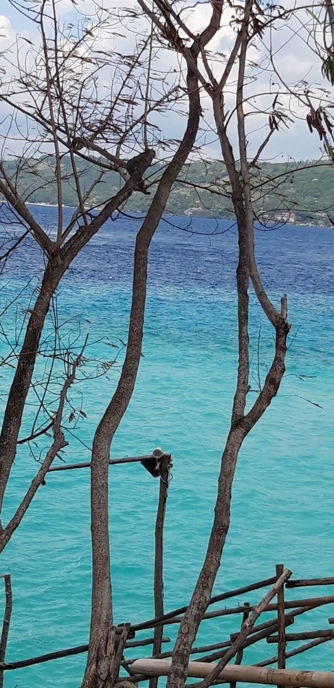Shades of Blue
