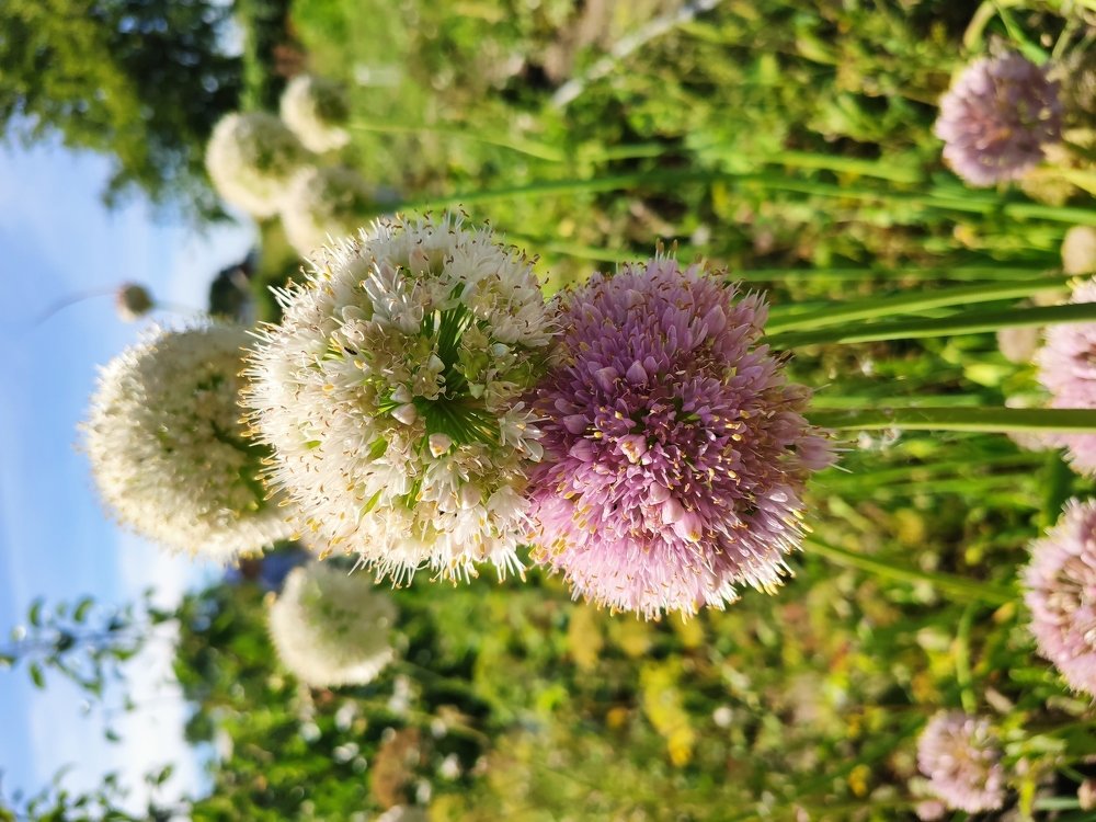 Photograph by Евгений Артемьев