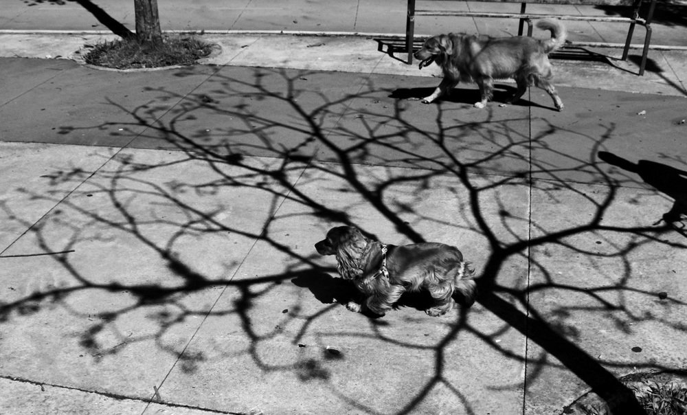 Photograph by Hernan vanegas