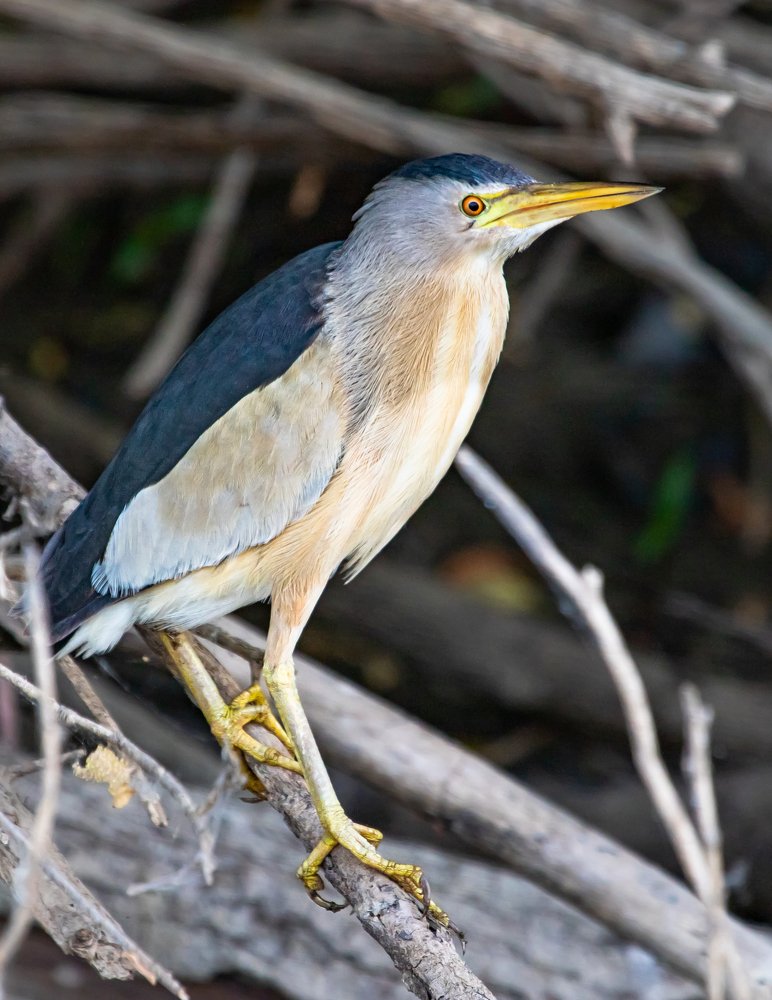 Photograph by Андрей Иванов