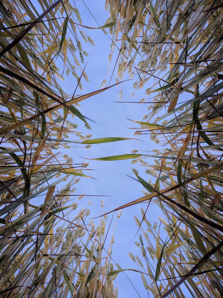 Photograph by Алексей и Юлия Дарьины