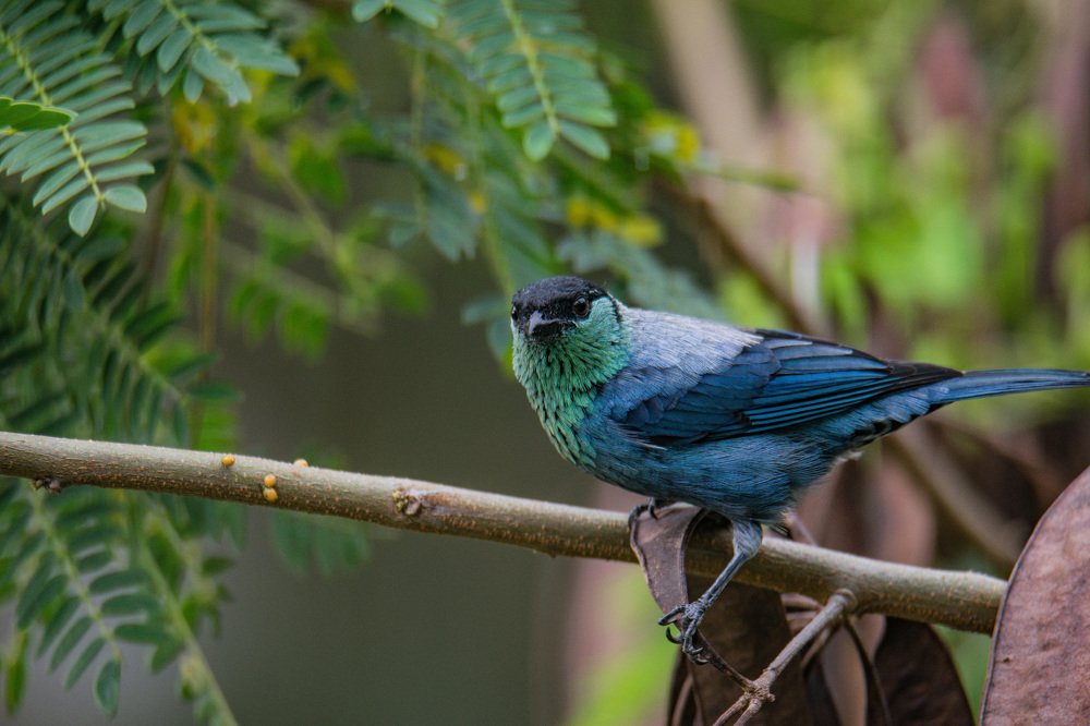 Photograph by Miguel Antonio Sevilla Flor