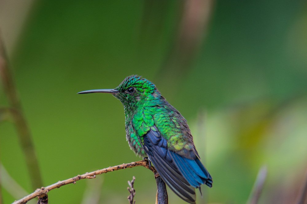 Photograph by Miguel Antonio Sevilla Flor