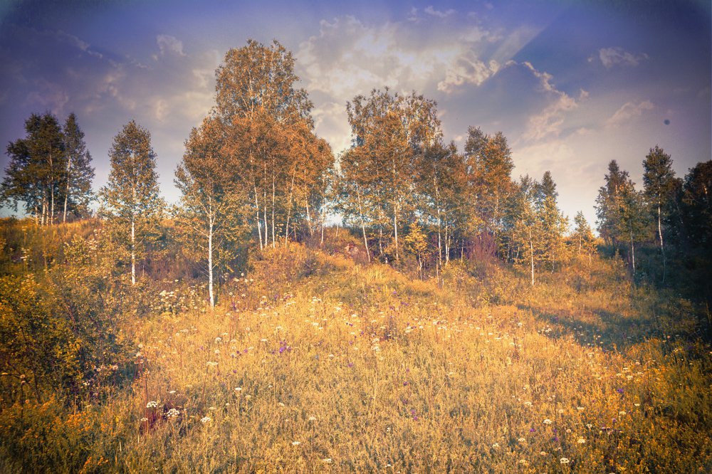 Photograph by Роман Воробьев