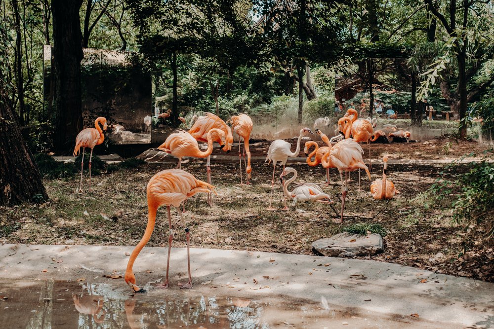 Photograph by Alexander Kovalenko