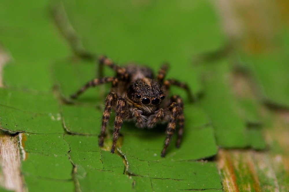 Photograph by Виталий Бодрягин