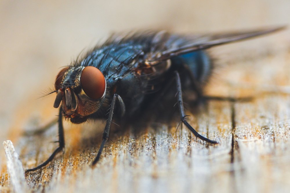 Photograph by Виталий Бодрягин