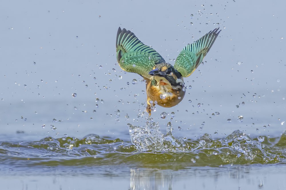 Photograph by Ernestas Balcikonis