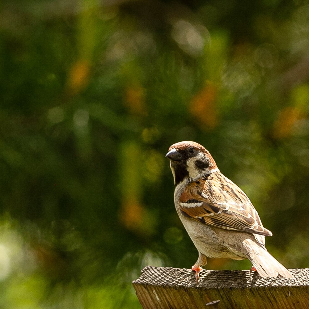 Photograph by Екатерина Топорова