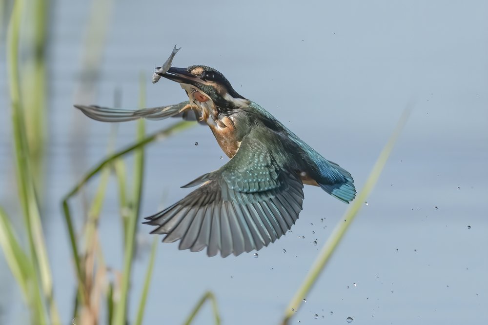 Photograph by Ernestas Balcikonis