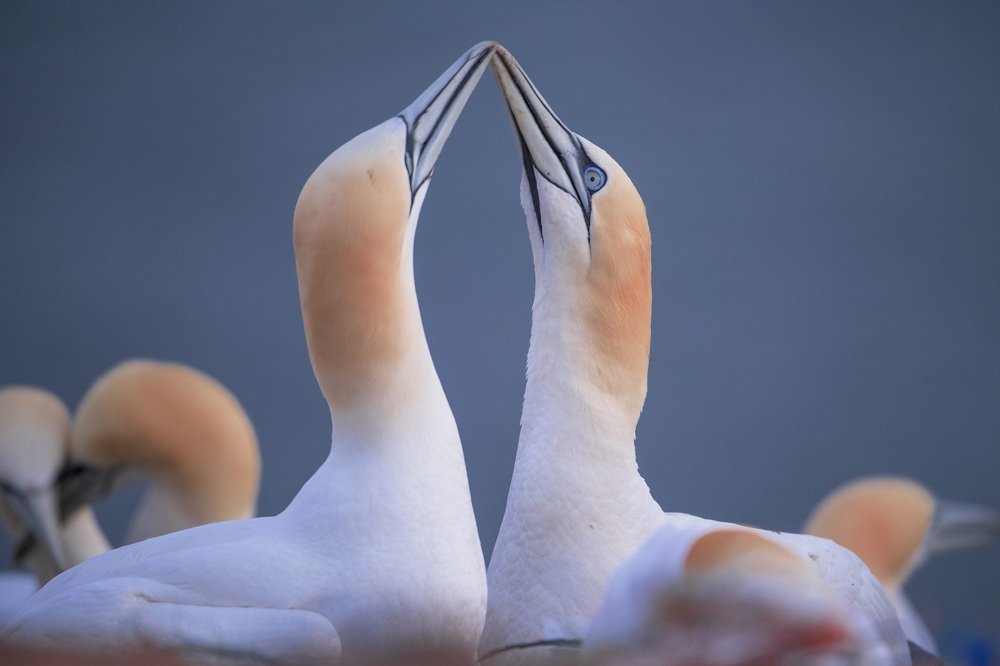 Photograph by Ernestas Balcikonis