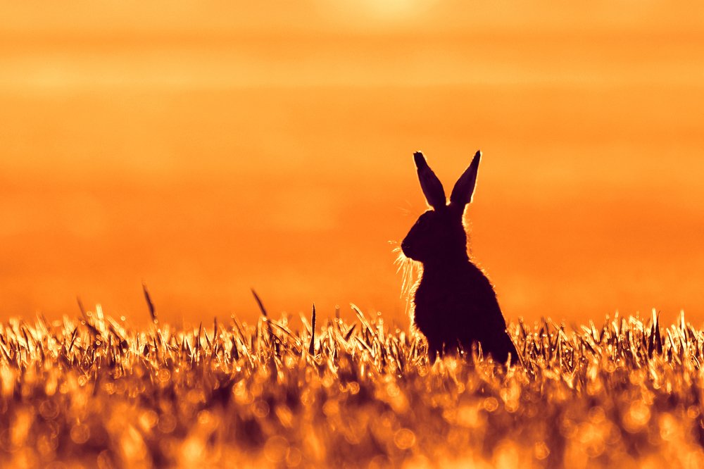 Photograph by Ernestas Balcikonis