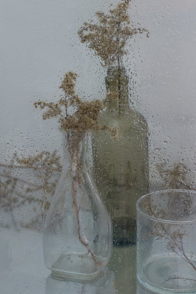 Photograph by Viktoria Alaküla