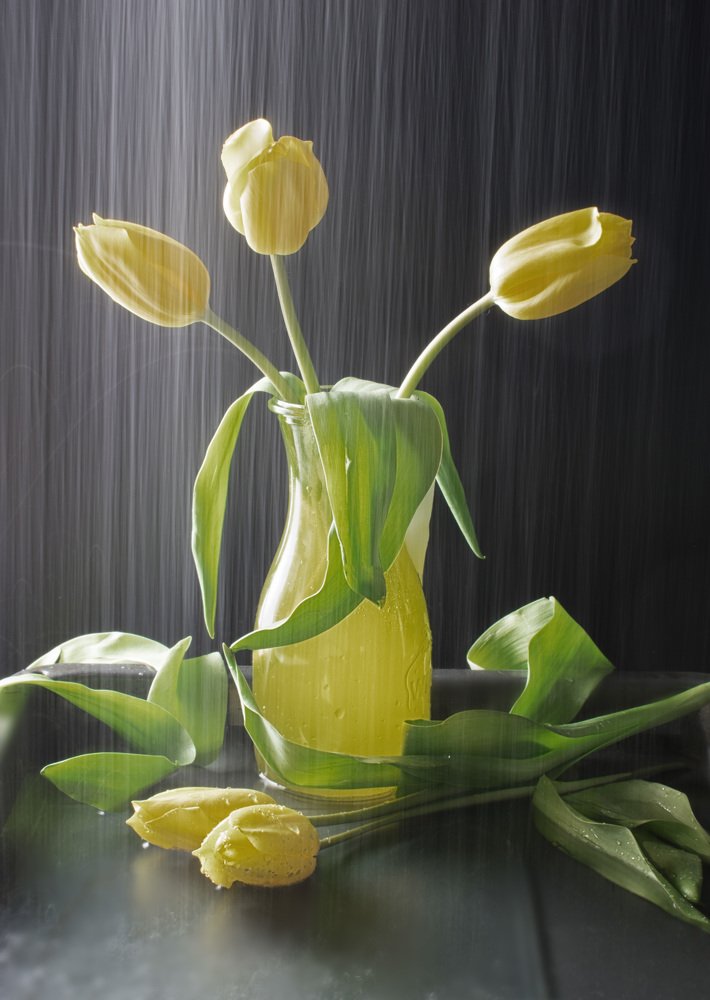 Photograph by Viktoria Alaküla