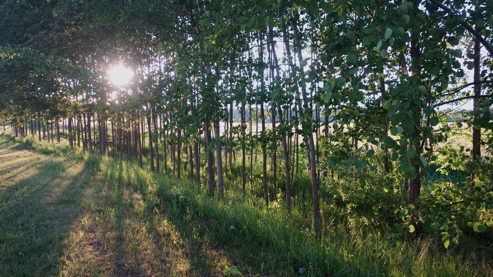 Photograph by Марусевич Светлана